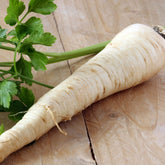 Hectarul - Seminte Plante aromatice PATRUNJEL  RADACINA  HALFLANGE Horti Tops 5 g